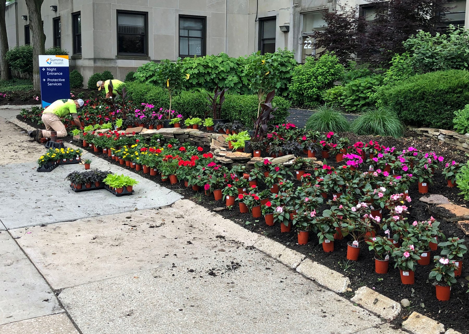 6 Amazing Tips For Annual Plant Displays on Commercial Properties